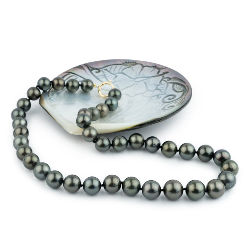 Tropical Midnight 10-13mm Tahitian Pearl Strand